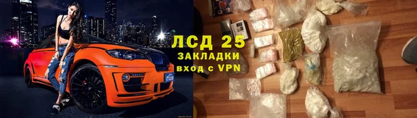 прущие грибы Армянск