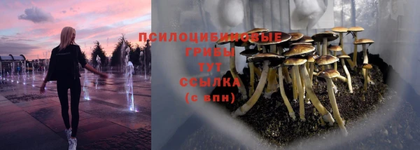 spice Аркадак