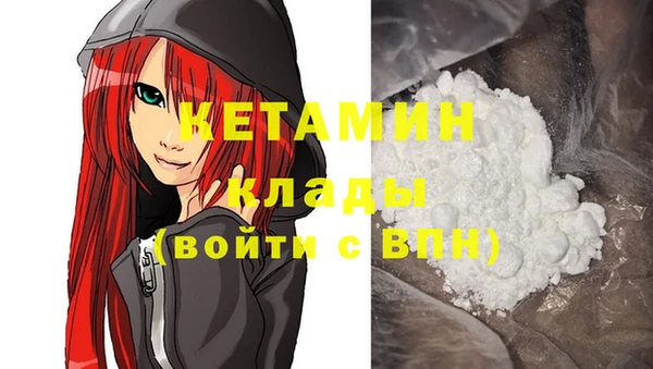 прущие грибы Армянск